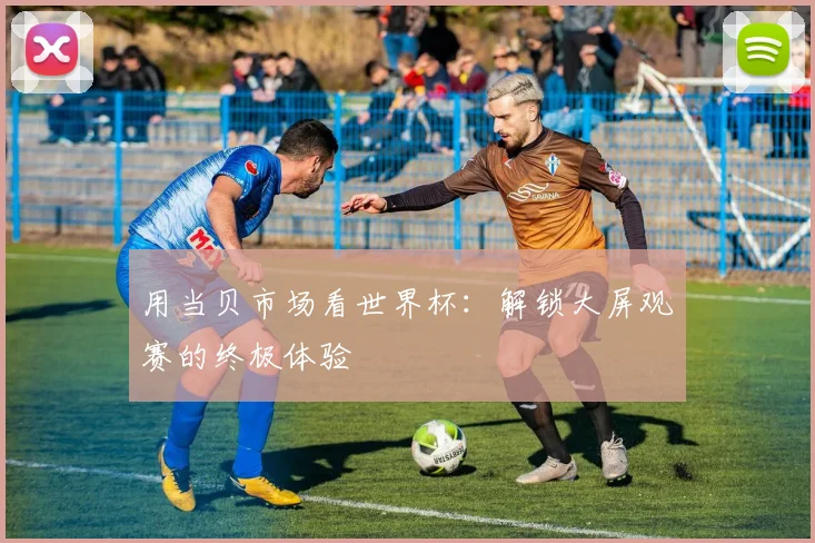 用当贝市场看世界杯：解锁大屏观赛的终极体验