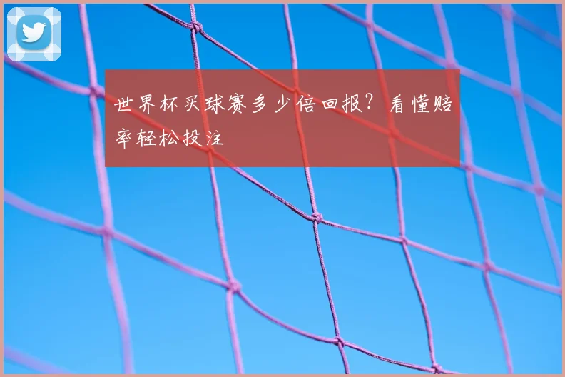世界杯买球赛多少倍回报？看懂赔率轻松投注