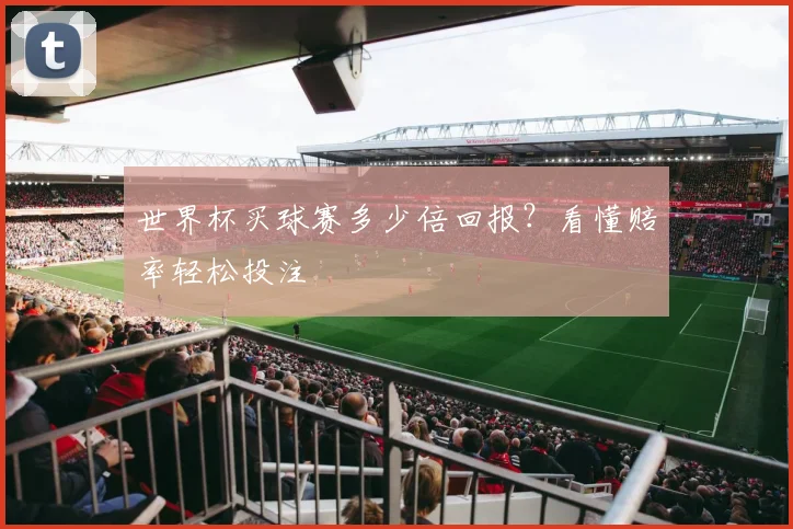 世界杯买球赛多少倍回报？看懂赔率轻松投注